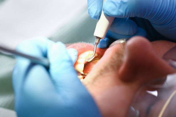 Best Orthodontic Emergency Dentist in Shannon Hills, AR